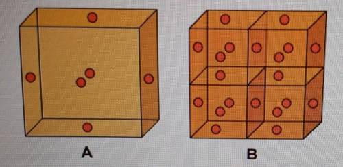 The following models show one large cell (A) and four small cells (B) Which of the following states