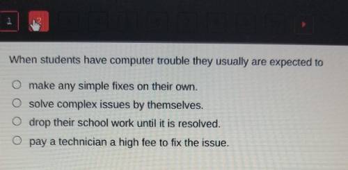 When students have computer trouble they usually are expected to *limited time help*