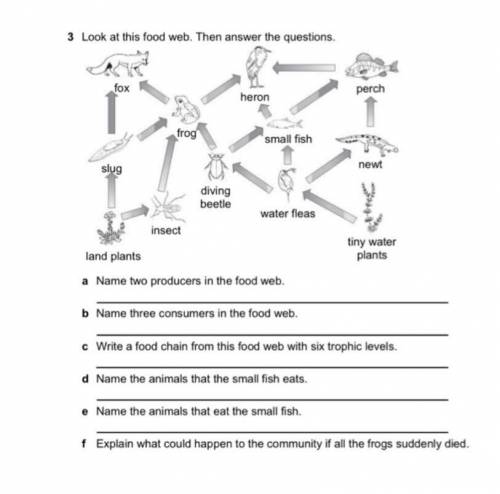 Look at this food web. Then answer the questions.
(I mainly need the answer to c.)