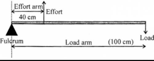 In the given diagram(in the resources) which kind of lever is mentioned? Also calculate the amount