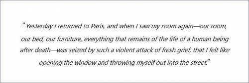 What could a another way to say violent attack in the sentence from Guy de Maupassant's Was it a