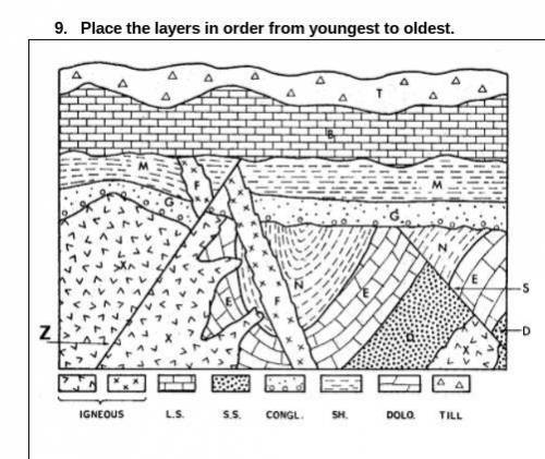 Place the layers in order from youngest to oldest (include the faults).