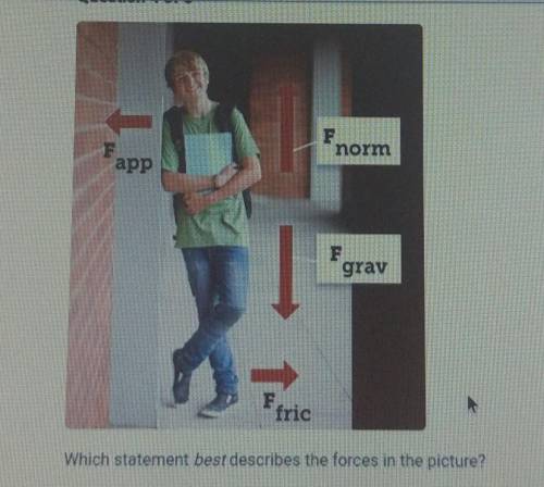 Which statement best describes the forces in the picture?

a. The applied force in the force of fr