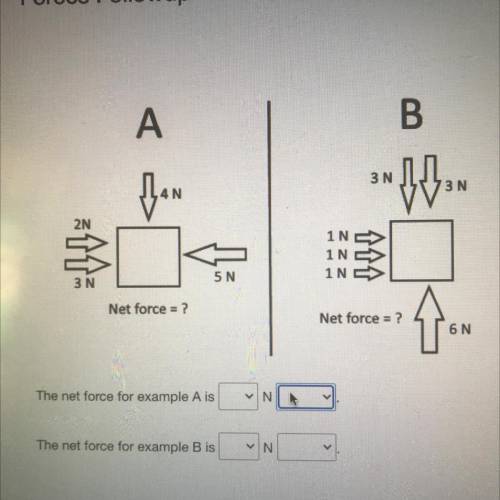 Net force = ?

Net force = ?
1
6 N
The net force for example A is
NA
The net force for example B i