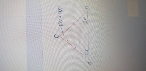 50 Points
What is the value of y?