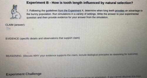 Experiment B - How is tooth length influenced by natural selection?