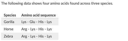 The following data shows four amino acids found across three species. Based on the data given, whic