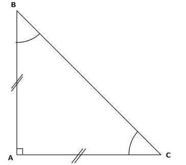 PLEASE HELP I AM BEING TIMED!

In the Diagram Angles B and C are_____?Options: Right Similar Congr