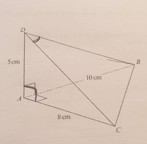 The diagram shows a tetrahedron.

AD is perpendicular to both AB and AC.AB = 10 cm.AC = 8 cm.AD =