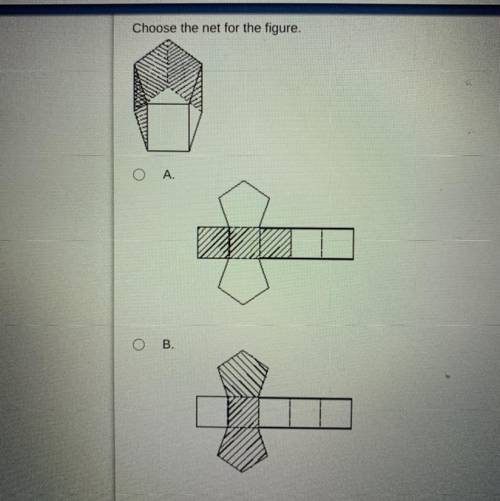 Choose the net for the figure.