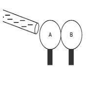 A negatively charged rod is placed near two neutral metal spheres, as shown below.

Which statemen