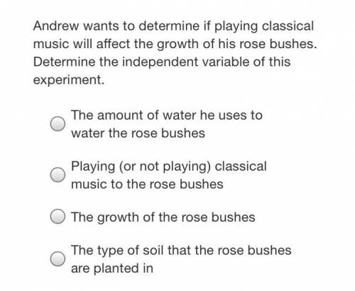 Andrew wants to determine if playing classical music will affect the growth of his rose bushes. Det