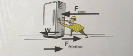 2. Are any of the forces acting on the freezer
unbalanced?
If so, which ones?