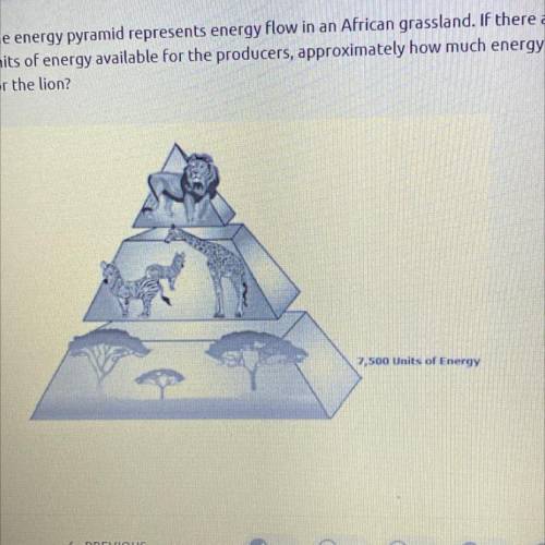 The energy pyramid represents energy flow in an African grassland. If there are 7,500

units of en
