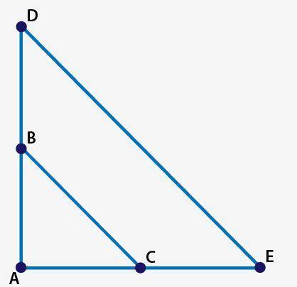If angle A is congruent to itself by the Reflexive Property, which transformation could be used to
