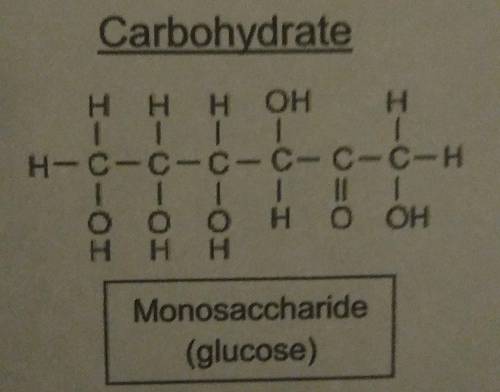 How do you add up the potential energy if all bonds in a carbohydrate and lipid molecule?