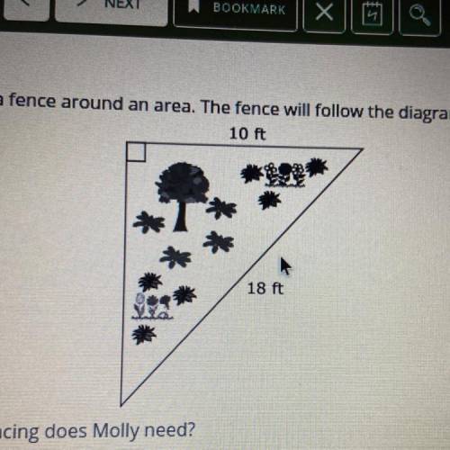 Molly wants to put a fence around an area. The fence will follow the diagram of the triangle shown