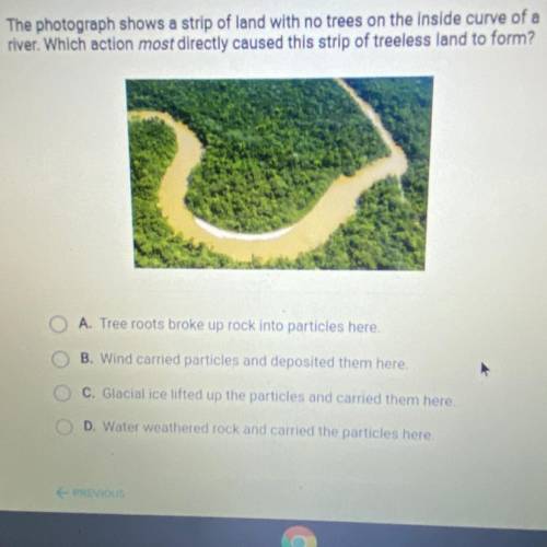 The photograph shows a strip of land with no trees on the inside curve of a

river. Which action m
