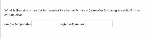 ANSWER ASAP THANKS

What is the ratio of unaffected females to affected females? (remember to simp