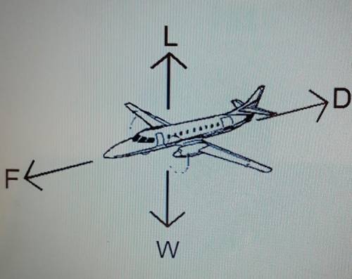 In this diagram, which force is represted by L?

a. the force caused by the wings encoutering wind