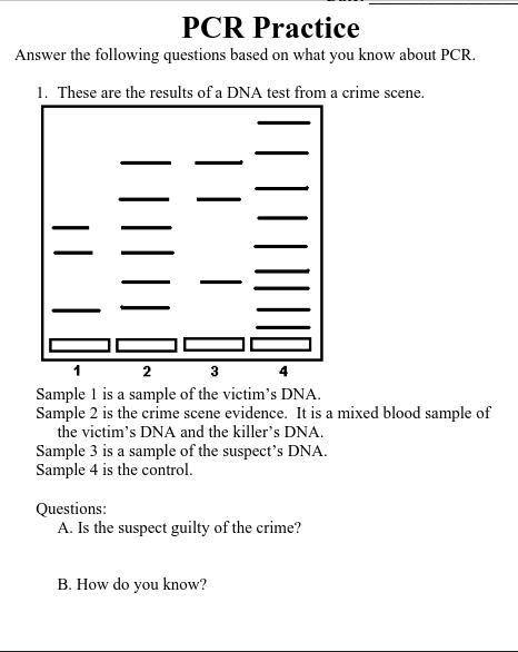 A. Is the suspect guilty of the crime? B. How do you know?

WILL MARK BRAINLIEST FOR COMPLETE AND