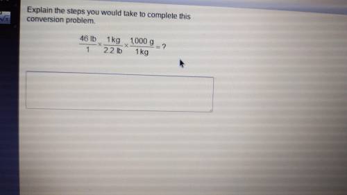 Explain the steps you would take to complete this conversion problem
