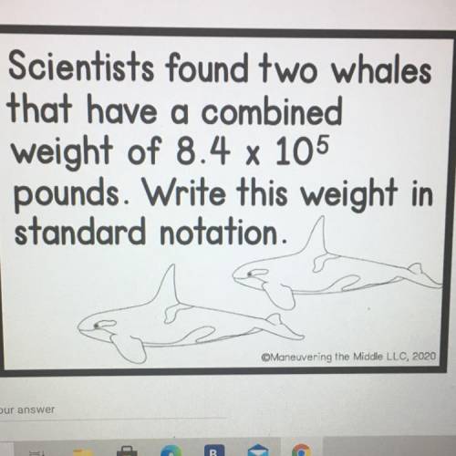 Scientists found two whales that have a combined weight of 8.4 x 105 pounds. Write this weight in s