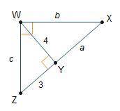 Giving Brainliest to the first answer that's correct!!!

Triangle X Y Z is shown. Angle Z W X is a