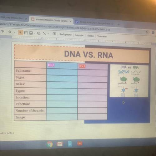 DNA VS. RNA

DNA
RNA
DNA VS. RNA
Full name:
Sugar:
Bases:
Types:
Location:
Function:
Number of Str