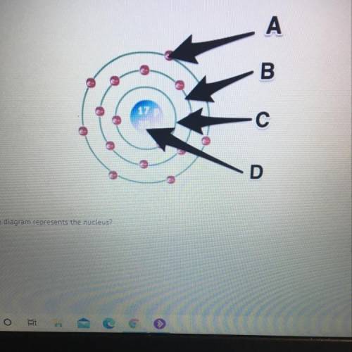 Which part of the diagram represents the nucleus?

A)
А.
B
B)
B
C)
n
D)
D