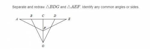 Please identify the common angles and sides or if there are non. Explain all work please!
