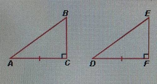 Based on the information marked in the diagram, ABC and DEF must be congruent.

True Or False?