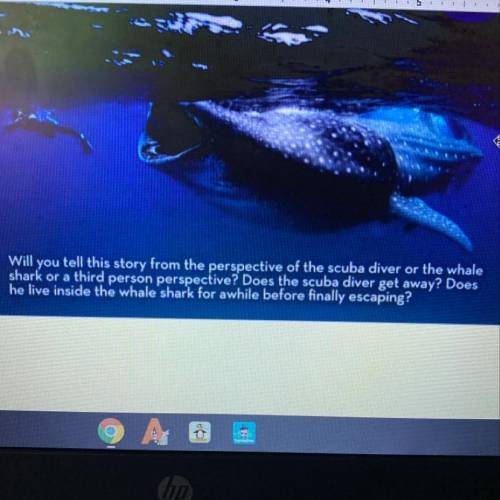 Will you tell this story from the perspective of the scuba diver or the whale

shark or a third pe