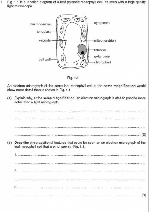 1. Explain why, at the same magnification, an electron micrograph is able to provide more detail th