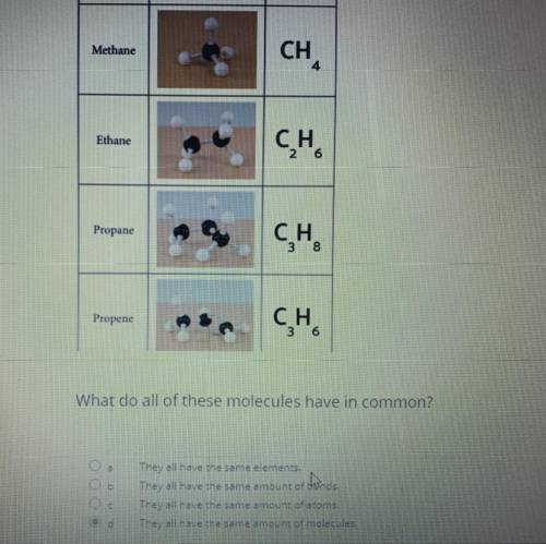 What do all of these molecules have in common

A . They all have elements 
B . They all have the s