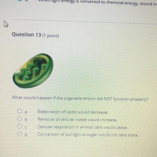 Please help do not know the answer
