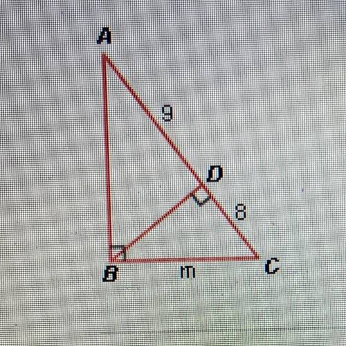 What is the value of min the figure below? In this diagram, AABD ABCD.

8
m
C
A. 136
B. 572
C. 32