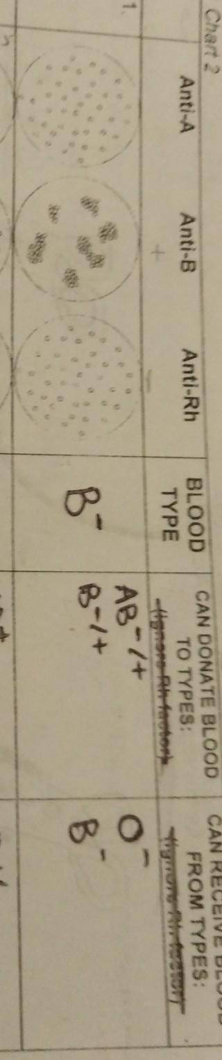 I have a question regarding blood typing? So there clumping of the cells in the Ani-B box. doesn't