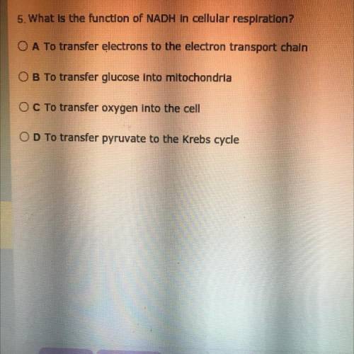 What is the function of NADH in cellular respiration?