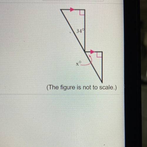 What is the value of x ??
