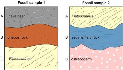 Select all the correct answers.

Which statements about the two fossil images are correct?
Cave be
