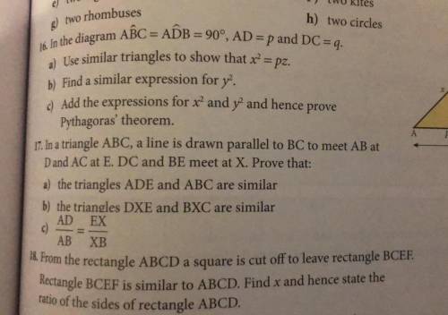 17. In a triangle ABC, a line is drawn parallel to BC to meet AB at D and AC at E.DC and BE meet at
