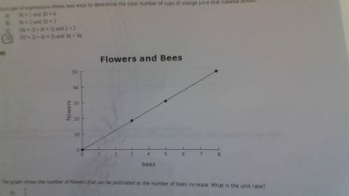 the graph shows the number of flowers that can be pollinated as the number of bees increase what is