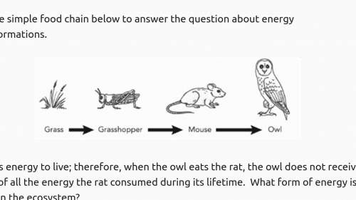 .

 
Use the simple food chain below to answer the question about energy transformations. 
It takes