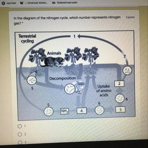 In the diagram of the nitrogen cycle, which number represents nitrogen

2 points
gas?
Terrestrial