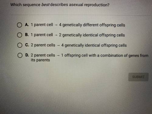 Which sequence best describes asexual reproduction? no