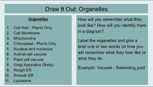 Please help this is due today!! I’ll name u the Brainliest and give you 35 points.benebhehehejsjsj