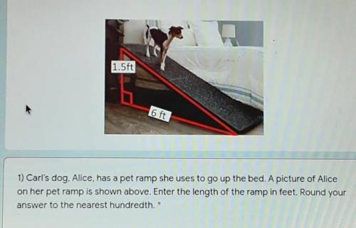 Carl's dog, alice, has a pet ramp she uses to go up to bed. A picture of alice on her pet ramp is t
