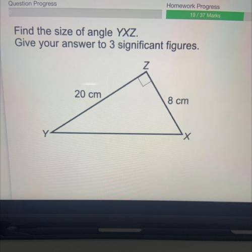 Find the size of angle YXZ.

Give your answer to 3 significant figures.
Z
20 cm
8 cm
X Х