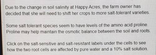 One of the symptoms of high salt concentrations in soil is plants that appear dehydrated even when